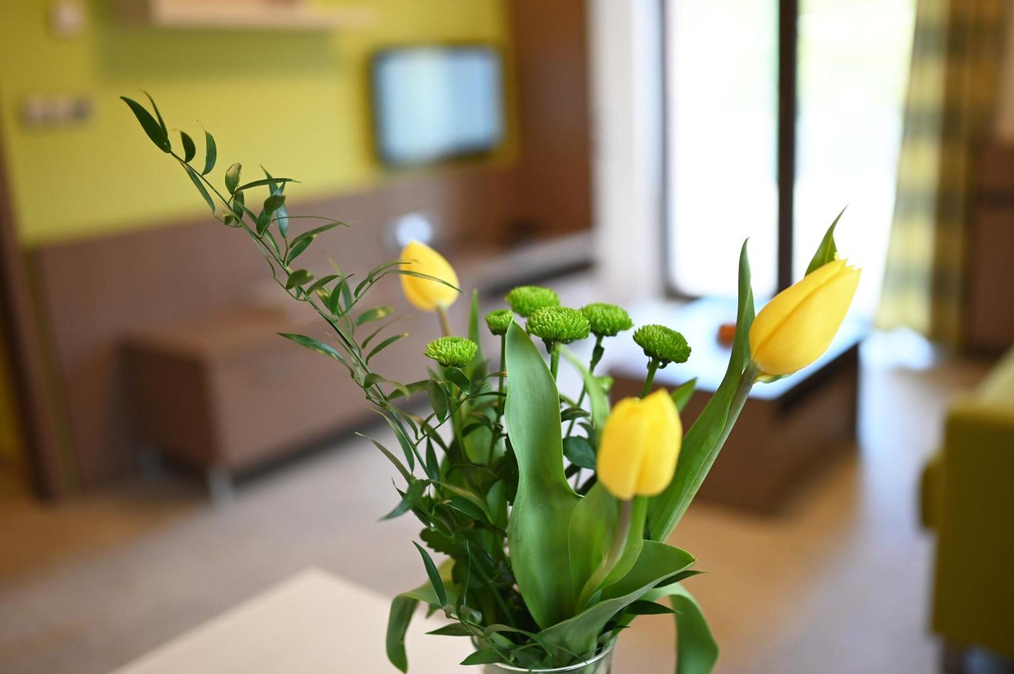 Hotel Jirinka Dolni Morava Bagian luar foto