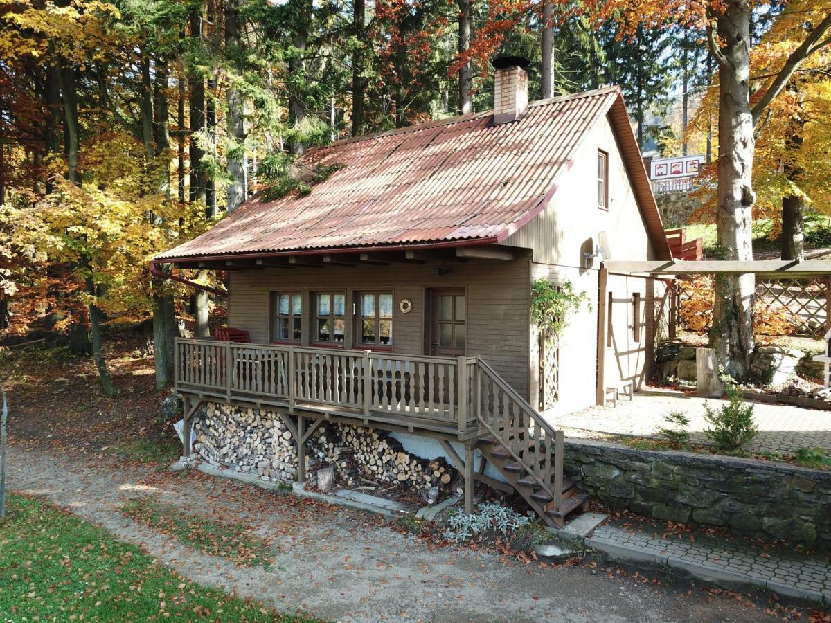 Hotel Jirinka Dolni Morava Bagian luar foto